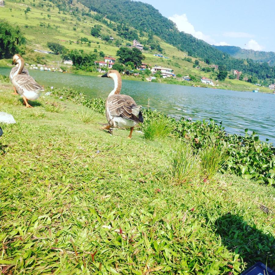 Sweet Dreams Hotel Pokhara Exteriör bild